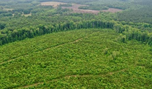 Photo #9 of SOLD property in Off Church Hill Road, Macon, NC 87.4 acres