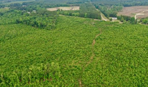 Photo #10 of SOLD property in Off Church Hill Road, Macon, NC 87.4 acres