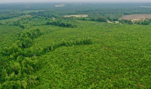 Photo #20 of SOLD property in Off Church Hill Road, Macon, NC 87.4 acres