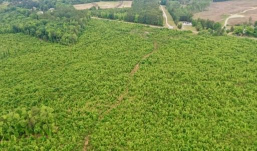 Photo #24 of SOLD property in Off Church Hill Road, Macon, NC 87.4 acres