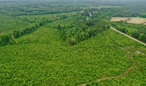 Photo #28 of SOLD property in Off Church Hill Road, Macon, NC 87.4 acres