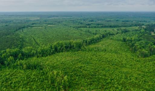 Photo #30 of SOLD property in Off Church Hill Road, Macon, NC 87.4 acres