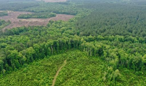 Photo #32 of SOLD property in Off Church Hill Road, Macon, NC 87.4 acres