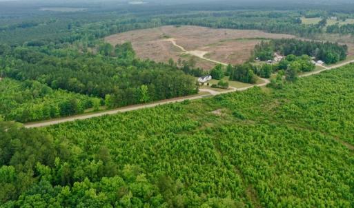 Photo #34 of SOLD property in Off Church Hill Road, Macon, NC 87.4 acres
