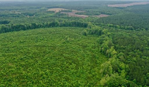 Photo #36 of SOLD property in Off Church Hill Road, Macon, NC 87.4 acres