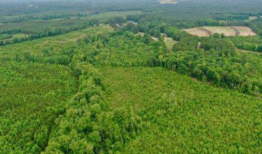 Photo #37 of SOLD property in Off Church Hill Road, Macon, NC 87.4 acres