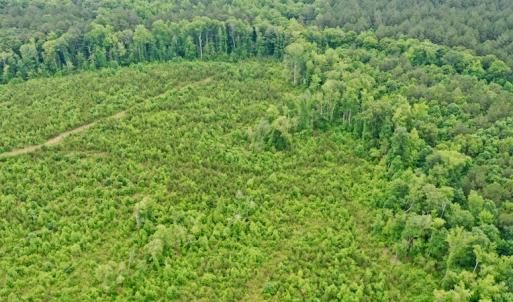 Photo #40 of SOLD property in Off Church Hill Road, Macon, NC 87.4 acres