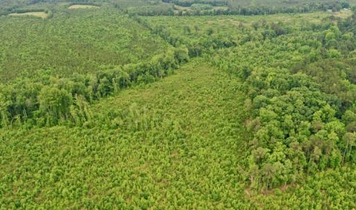 Photo #42 of SOLD property in Off Church Hill Road, Macon, NC 87.4 acres