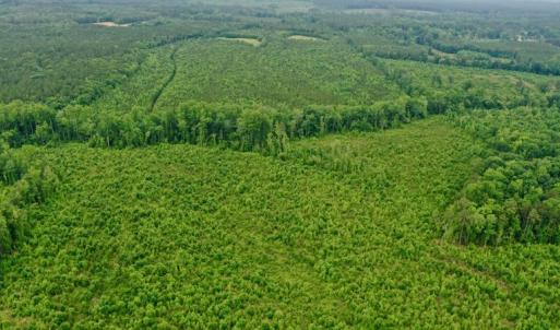 Photo #44 of SOLD property in Off Church Hill Road, Macon, NC 87.4 acres