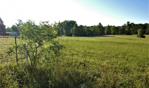 Photo #2 of SOLD property in Off Old Poole Road, Alberta, VA 6.3 acres
