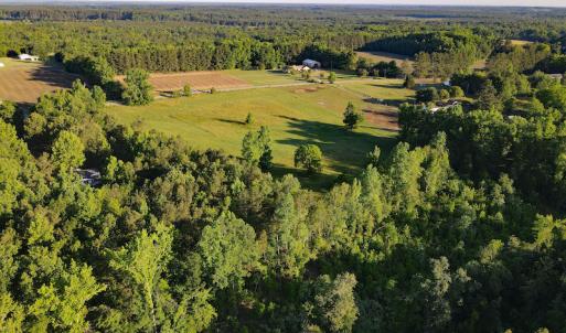 Photo #12 of SOLD property in Off Old Poole Road, Alberta, VA 6.3 acres