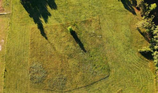 Photo #16 of SOLD property in Off Old Poole Road, Alberta, VA 6.3 acres