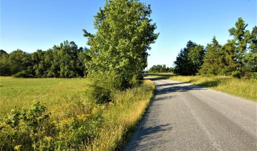 Photo #19 of SOLD property in Off Old Poole Road, Alberta, VA 6.3 acres