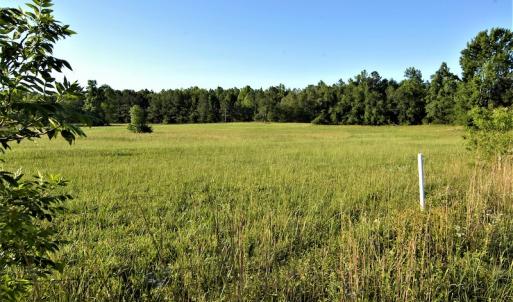 Photo #3 of SOLD property in Off Old Poole Road, Alberta, VA 6.3 acres