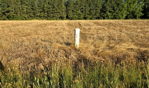 Photo #21 of SOLD property in Off Old Poole Road, Alberta, VA 6.3 acres