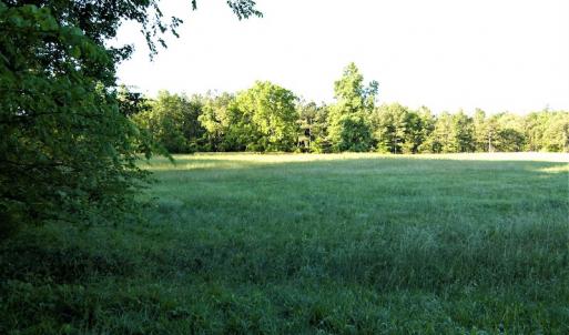 Photo #4 of SOLD property in Off Old Poole Road, Alberta, VA 6.3 acres