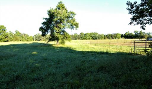 Photo #5 of SOLD property in Off Old Poole Road, Alberta, VA 6.3 acres