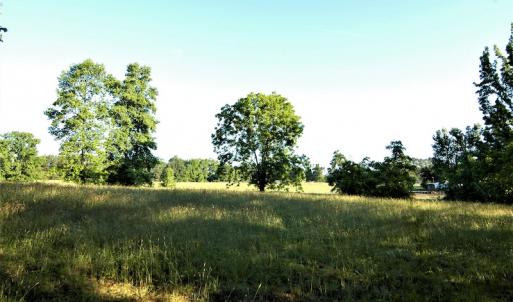 Photo #6 of SOLD property in Off Old Poole Road, Alberta, VA 6.3 acres