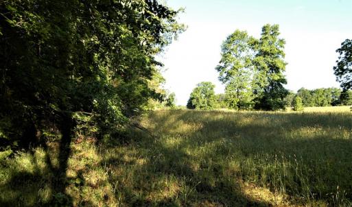 Photo #7 of SOLD property in Off Old Poole Road, Alberta, VA 6.3 acres