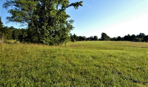 Photo #8 of SOLD property in Off Old Poole Road, Alberta, VA 6.3 acres