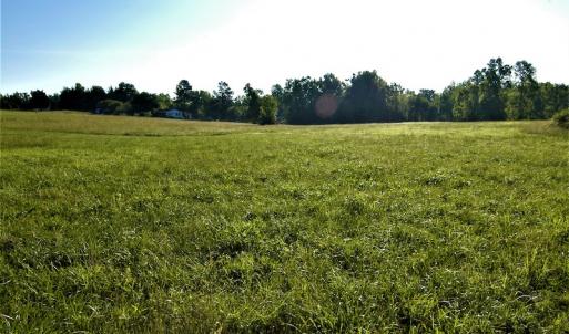 Photo #9 of SOLD property in Off Old Poole Road, Alberta, VA 6.3 acres