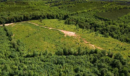 Photo #4 of SOLD property in Off Pleasant Grove Road, Halifax, VA 106.0 acres