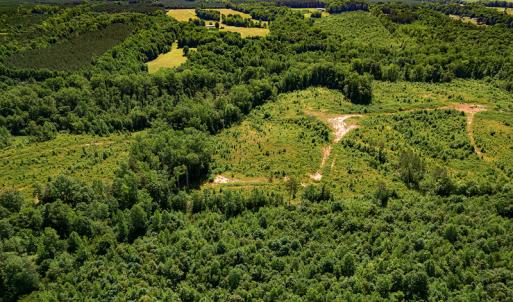 Photo #5 of SOLD property in Off Pleasant Grove Road, Halifax, VA 106.0 acres