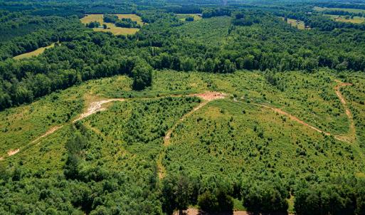 Photo #6 of SOLD property in Off Pleasant Grove Road, Halifax, VA 106.0 acres