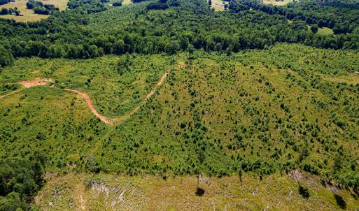 Photo #7 of SOLD property in Off Pleasant Grove Road, Halifax, VA 106.0 acres