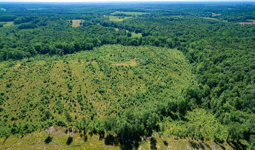 Photo #8 of SOLD property in Off Pleasant Grove Road, Halifax, VA 106.0 acres