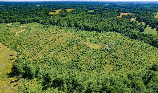 Photo #9 of SOLD property in Off Pleasant Grove Road, Halifax, VA 106.0 acres