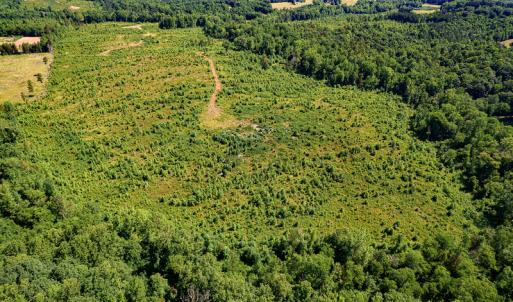 Photo #10 of SOLD property in Off Pleasant Grove Road, Halifax, VA 106.0 acres