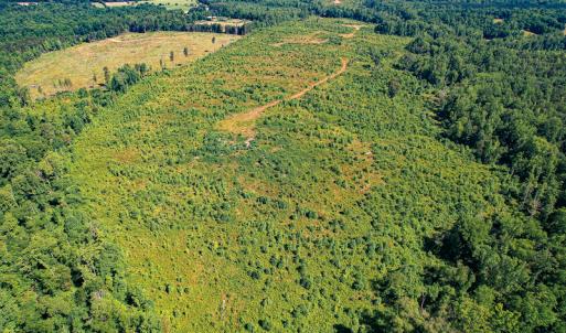 Photo #11 of SOLD property in Off Pleasant Grove Road, Halifax, VA 106.0 acres