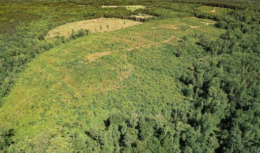 Photo #12 of SOLD property in Off Pleasant Grove Road, Halifax, VA 106.0 acres