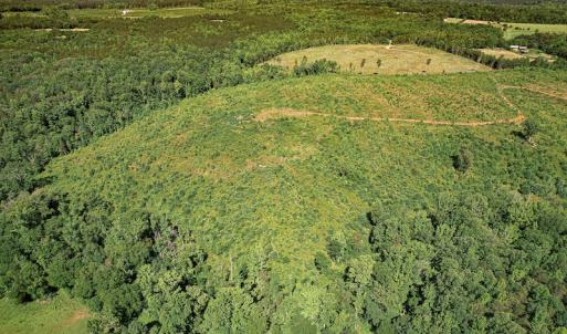 Photo #13 of SOLD property in Off Pleasant Grove Road, Halifax, VA 106.0 acres