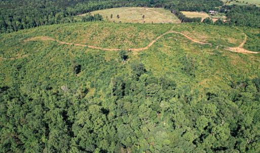 Photo #14 of SOLD property in Off Pleasant Grove Road, Halifax, VA 106.0 acres