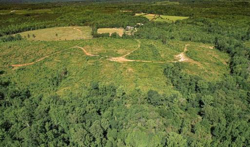 Photo #15 of SOLD property in Off Pleasant Grove Road, Halifax, VA 106.0 acres