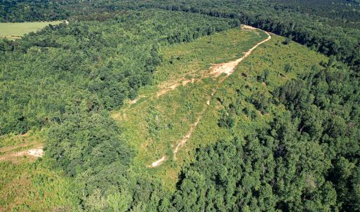 Photo #16 of SOLD property in Off Pleasant Grove Road, Halifax, VA 106.0 acres