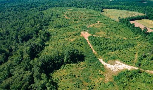 Photo #17 of SOLD property in Off Pleasant Grove Road, Halifax, VA 106.0 acres