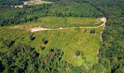 Photo #18 of SOLD property in Off Pleasant Grove Road, Halifax, VA 106.0 acres
