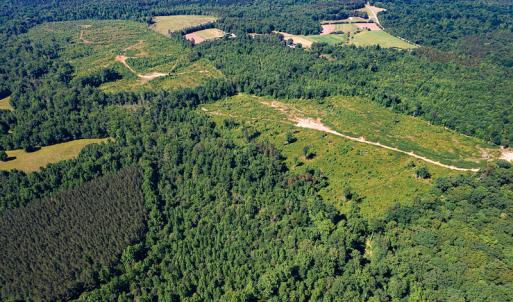 Photo #19 of SOLD property in Off Pleasant Grove Road, Halifax, VA 106.0 acres