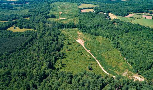 Photo #20 of SOLD property in Off Pleasant Grove Road, Halifax, VA 106.0 acres