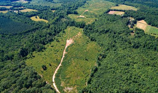 Photo #21 of SOLD property in Off Pleasant Grove Road, Halifax, VA 106.0 acres