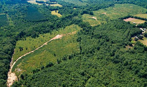 Photo #22 of SOLD property in Off Pleasant Grove Road, Halifax, VA 106.0 acres