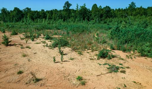 Photo #23 of SOLD property in Off Pleasant Grove Road, Halifax, VA 106.0 acres