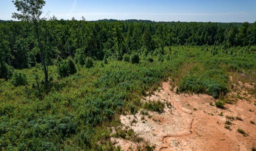 Photo #24 of SOLD property in Off Pleasant Grove Road, Halifax, VA 106.0 acres