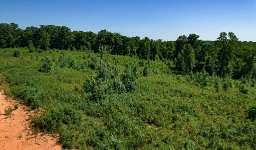 Photo #25 of SOLD property in Off Pleasant Grove Road, Halifax, VA 106.0 acres