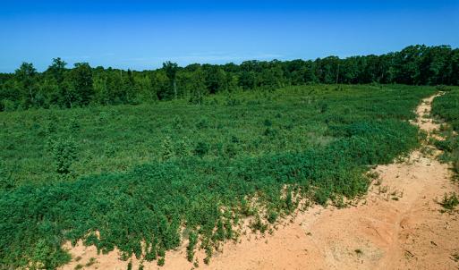 Photo #26 of SOLD property in Off Pleasant Grove Road, Halifax, VA 106.0 acres