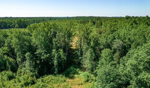 Photo #31 of SOLD property in Off Pleasant Grove Road, Halifax, VA 106.0 acres