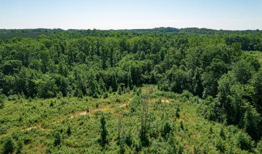 Photo #32 of SOLD property in Off Pleasant Grove Road, Halifax, VA 106.0 acres